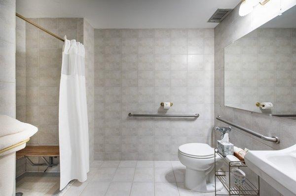 Handicap Accessible - Bathroom