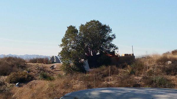 The encampment is now reinforced with plywood planks, making it even more of a fire hazard. Photo December 13th 2017