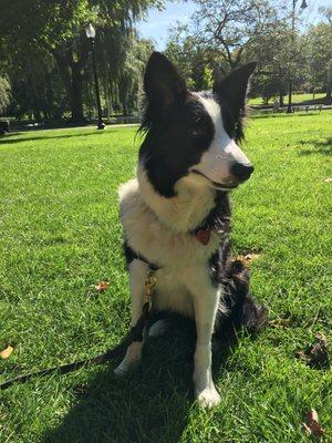 Jeta in the Public Garden.