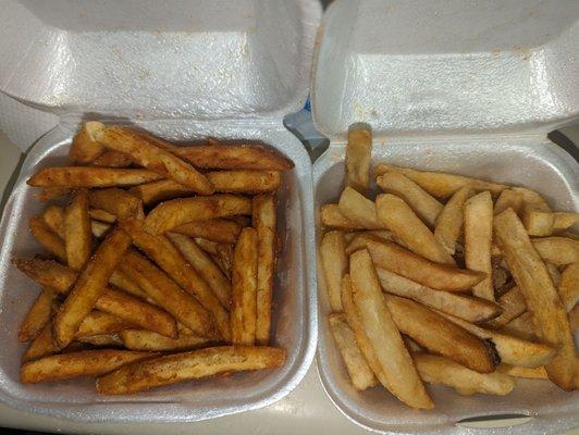 Seasoned and regular fries