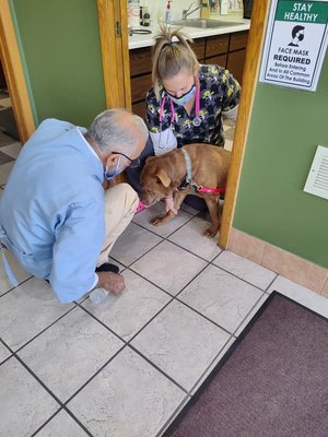 This was Smokey getting examined and a blood draw.  This helped us to make the best informed decision for him.  Thank you Dr. Sekhon & Emily