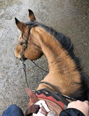 ready to go on the trail!