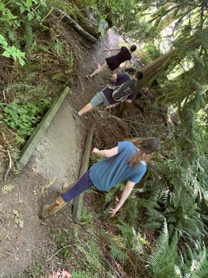 Trail with bridge