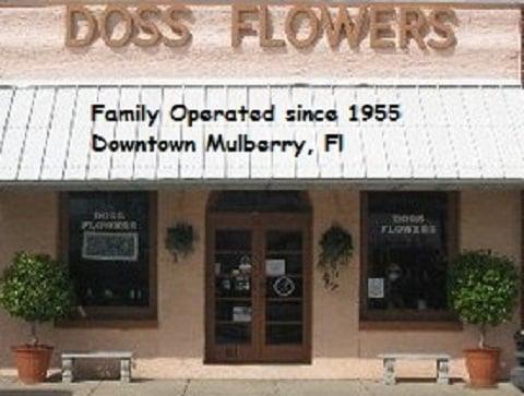 Dowtown Mulberry, FL