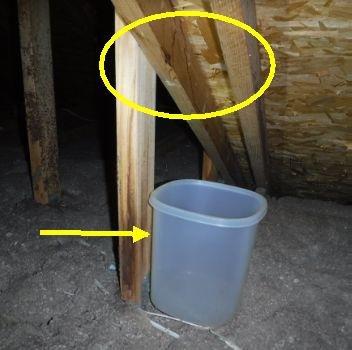 Bucket in attic under leak