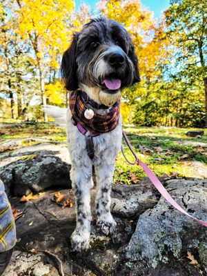 Talcott Mountain State Park