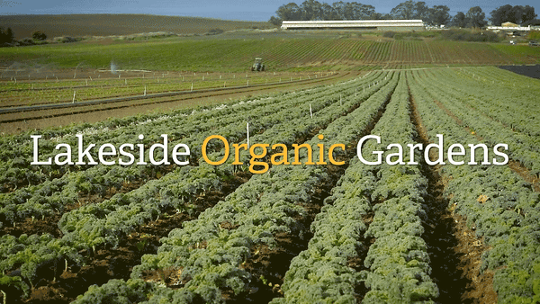 Lakeside Organic Gardens - Organically grown, nonGMO produce available at nationally recognized food markets across the US.