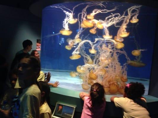 Our students enjoy STEM field trips that correlate to classroom lessons.