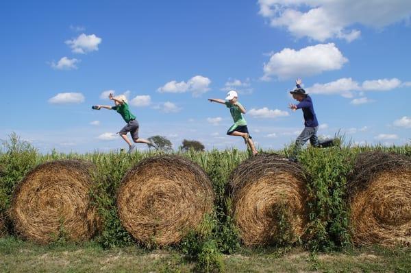 Kids having fun on the farm at Angelic Organics Learning Center