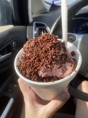 1 scoop black raspberry, 1 scoop chocolate with chocolate sprinkles