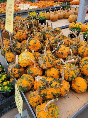 Weird pumpkins