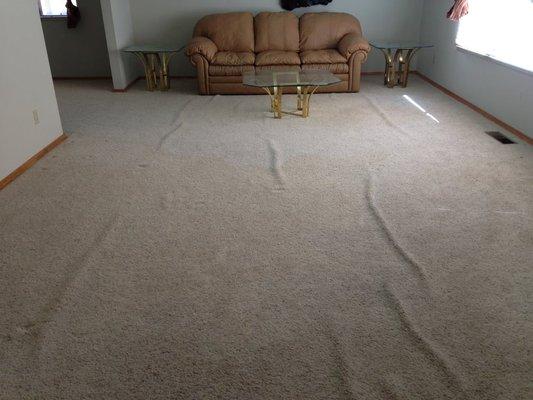 Wrinkled Living Room Carpet