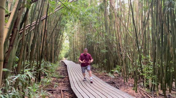 Clear Tai Chi Form in the Bamboo Forest on the Pipiwai Trail in Maui.