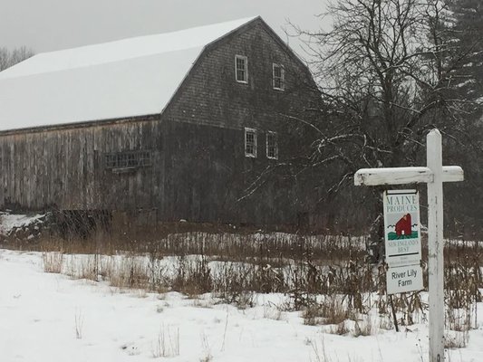 River Lily Farm