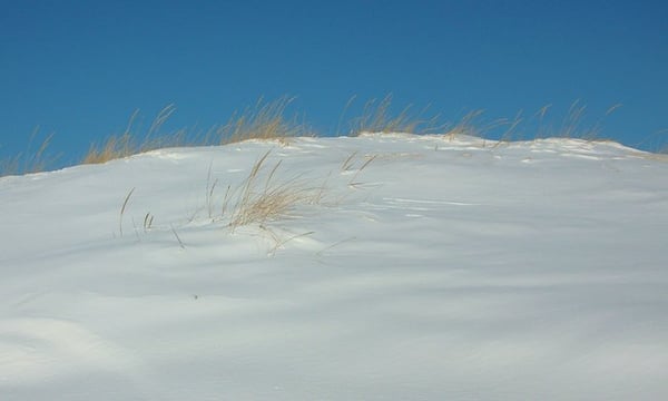 winter along the beach