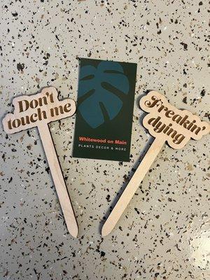 Adorable & sassy plant stakes, $3.50 each! Wish they came in a bundle as there were so many great options