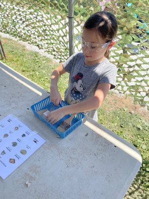 Digging for fossils. $5.00 additional