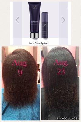 Monat Hair Care and Growth systems