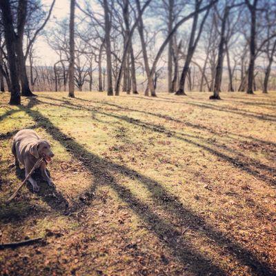 Fall hike, no leaves on the trees!