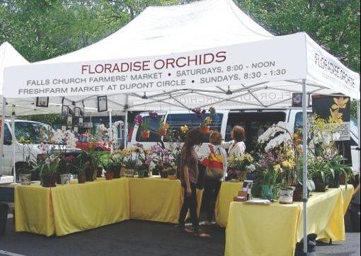 Two DC Farmers' Markets Booth appears provided it is 50 degrees and not pouring rain or excessively windy