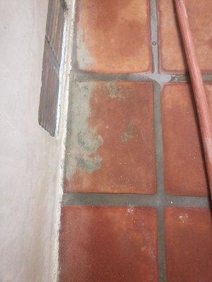 Damaged Saltillo Tile