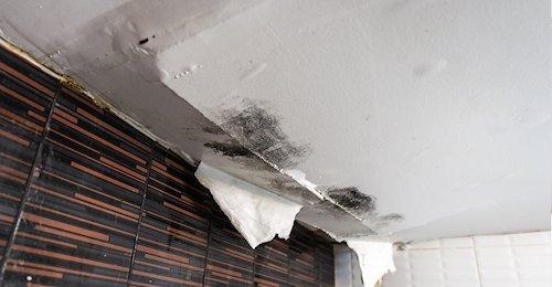 Mold Damage / Water Damage Repair