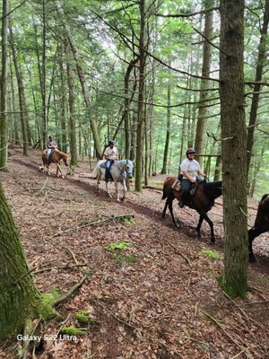 Valley View Riding Stables