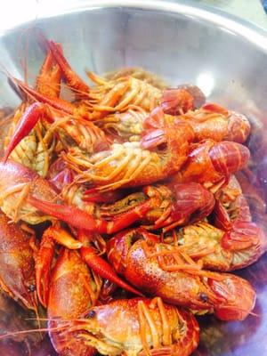 Boiled Crawfish