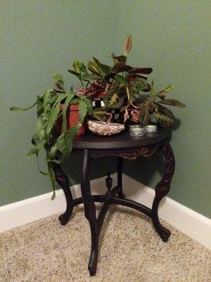 Cute side table and the plant on the left from Revamped!