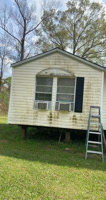 Algae/mildew on trailer vinyl