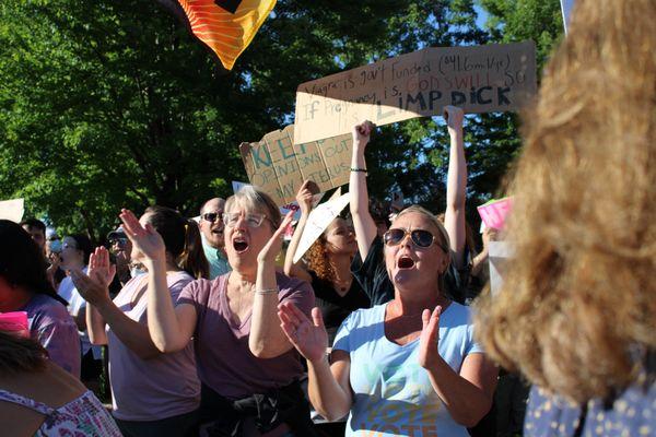 Arlington Heights Protest Against Roe v. Wade overturn

Picture by: Luis Hernandez