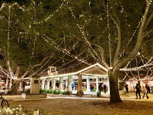 Plaza de la Constitucion -- Christmas lights