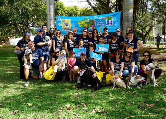 2017 - Diaz Trade Law TEAM CHUCKIE Walks for the Animals  in support of the Miami-Dade Humane Society.