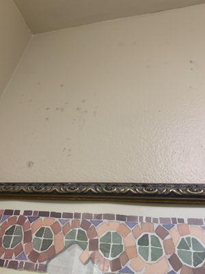 Mold on wall