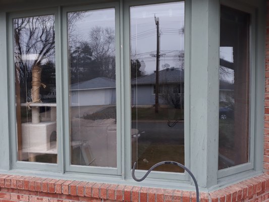 Before & After Window Installation in Coon Rapids, MN