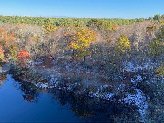 Freetown- Fall River State Forest