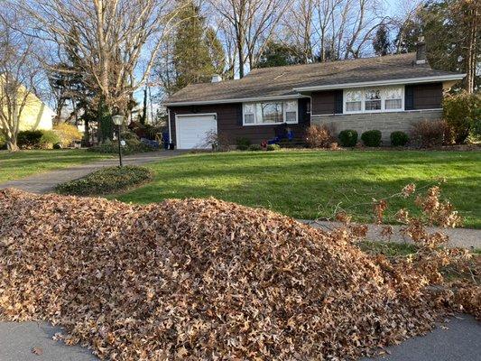 Fall Cleanup/Leaf Cleanup