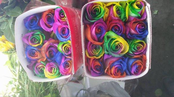 Rainbow roses.