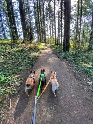 Trail buddies!