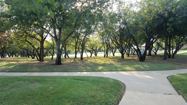 Lots of trees and shady areas