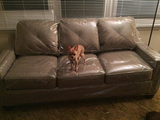 Couch with plastic slipcover that Nelson made.