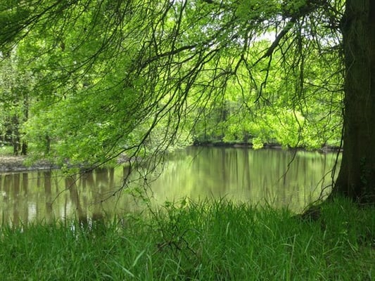 View from the lakeside trail in mid-April