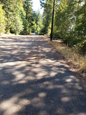 Seal Rock Campground Day Use Area