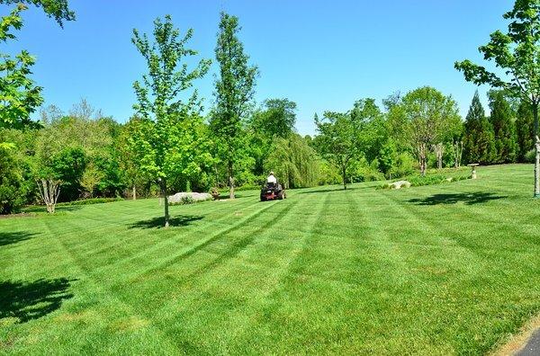 Snow Plowing rockford, Snow Removal Rockford, Landscpaing Rockford, Mowing Rockford, Lawn Care Rockford, Irrigation Rockford, Parking Lot Sw