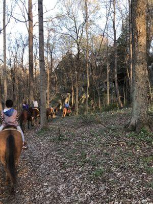 Lake Glendale Stables