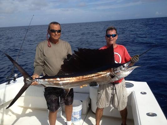 Nice Sailfish