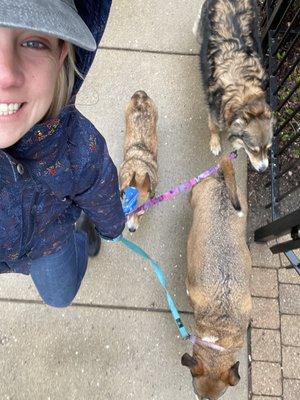 Loose leash walking- a little rain won't stop us!