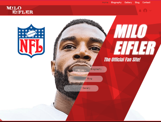 MiloEifler.com
 
 Here is a website built by Afrinubi Solutions, LLC for NFL football player, Milo Eifler.