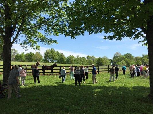 Horse Farm Tour