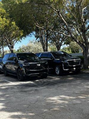 Palm Beach Deluxe Car services